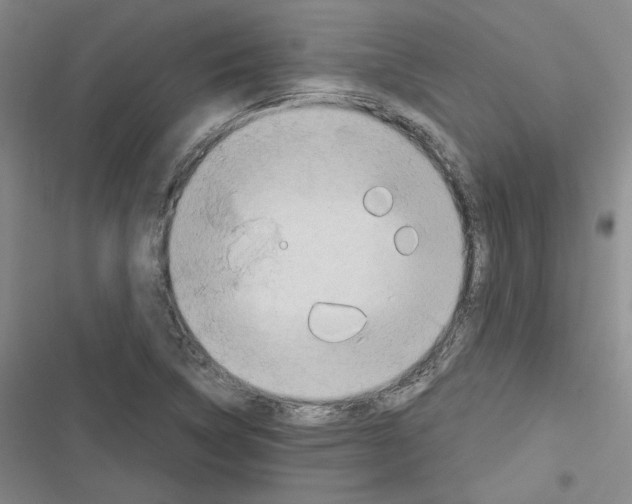 X0000116321314201001130955