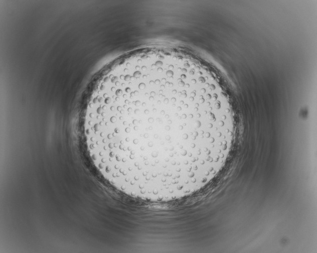 X0000116321315201001130955