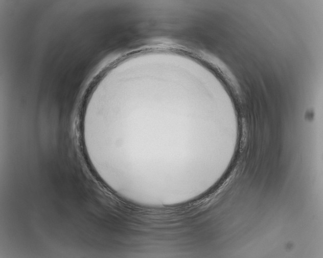 X0000116321318201001130955