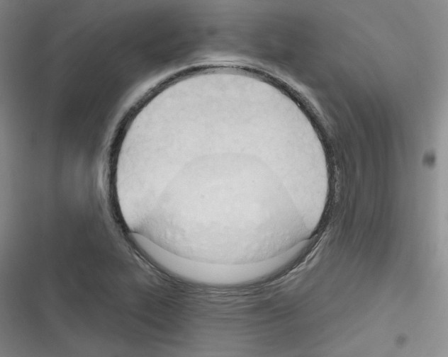 X0000116321319201001130955