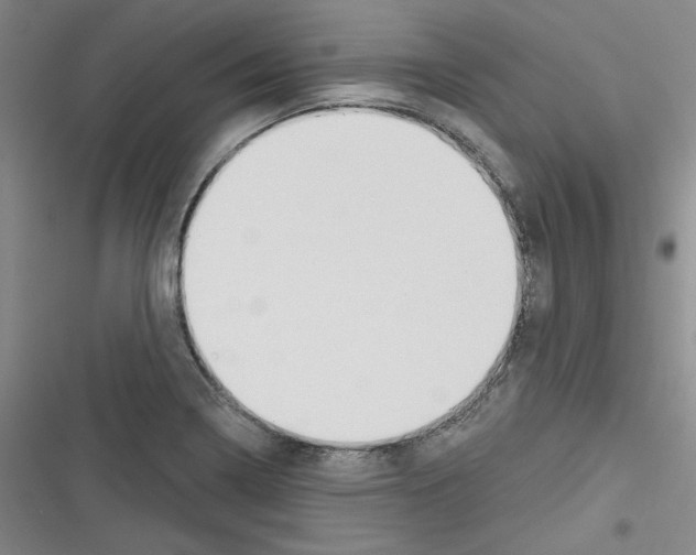 X0000116321322201001130955