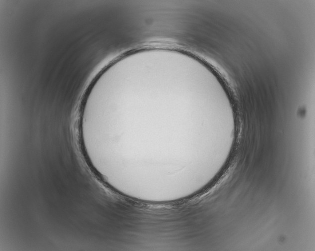 X0000116321325201001130955