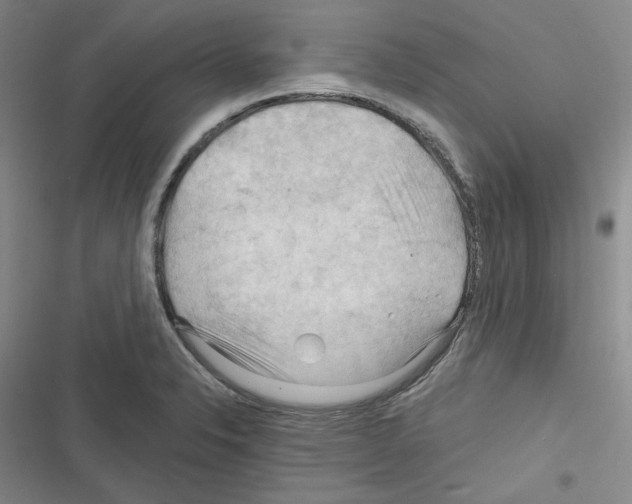 X0000116321326201001130955