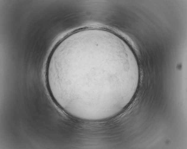 X0000116321327201001130955