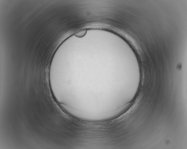 X0000116321329201001130955