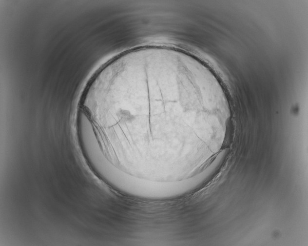 X0000116321331201001130955