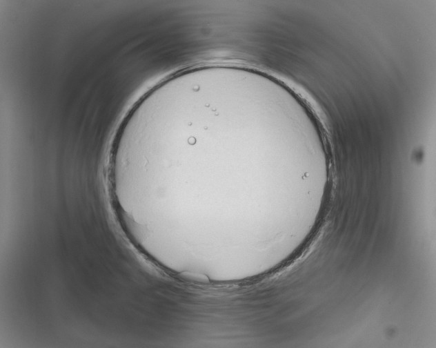 X0000116321333201001130955