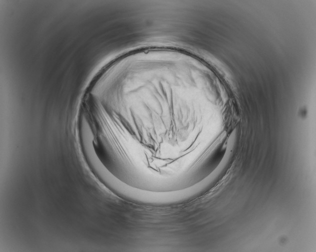 X0000116321334201001130955