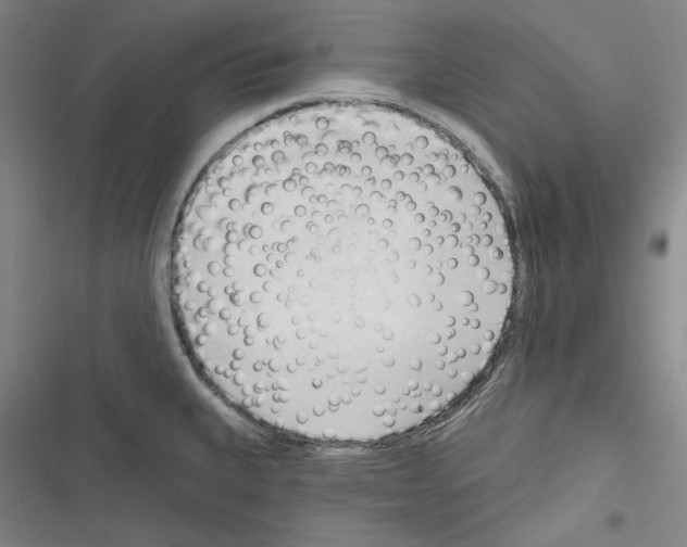 X0000116321335201001130955