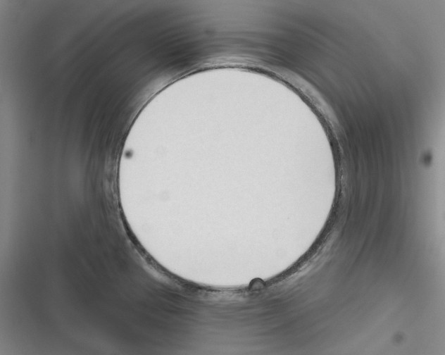 X0000116321337201001130955