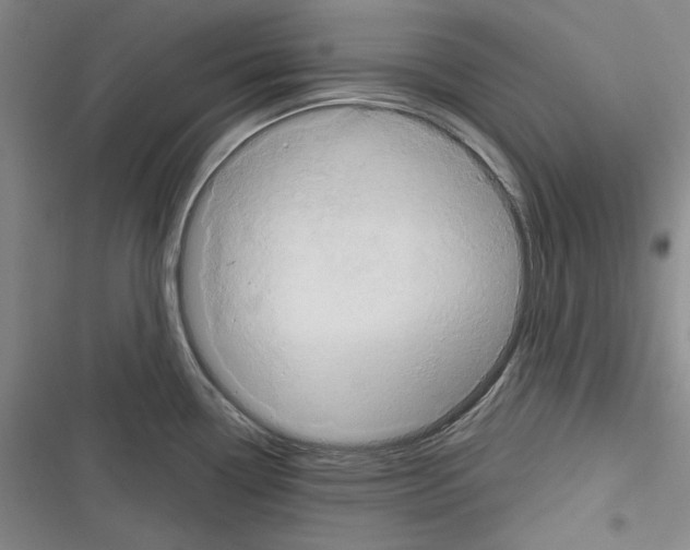 X0000116321338201001130955