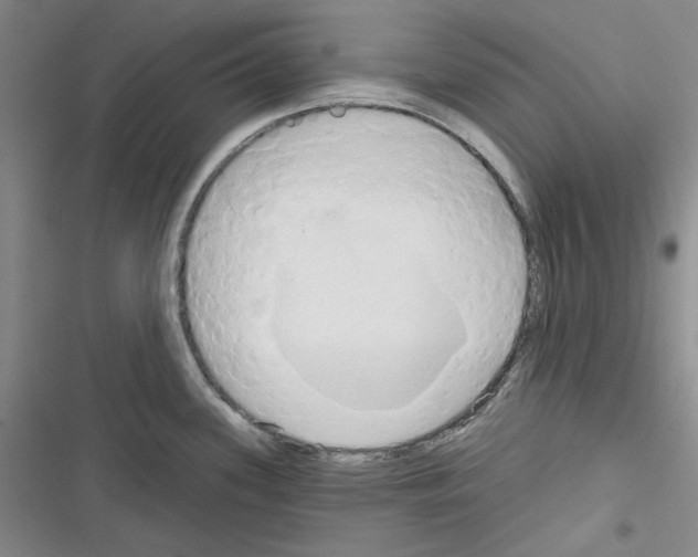 X0000116321339201001130955