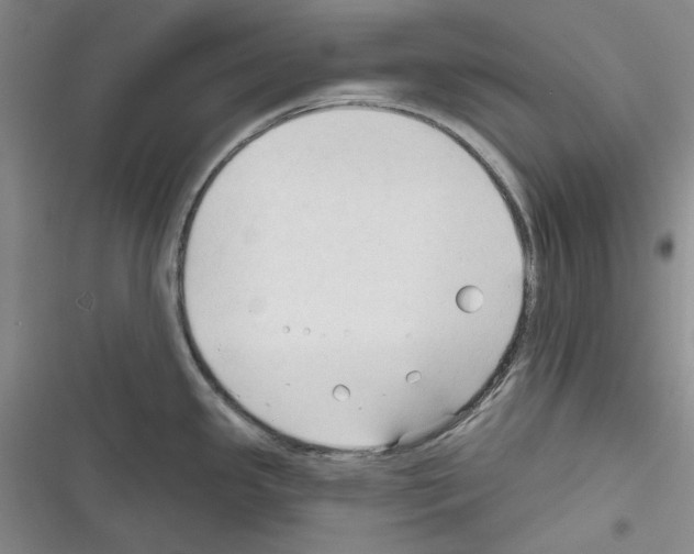 X0000116321341201001130955