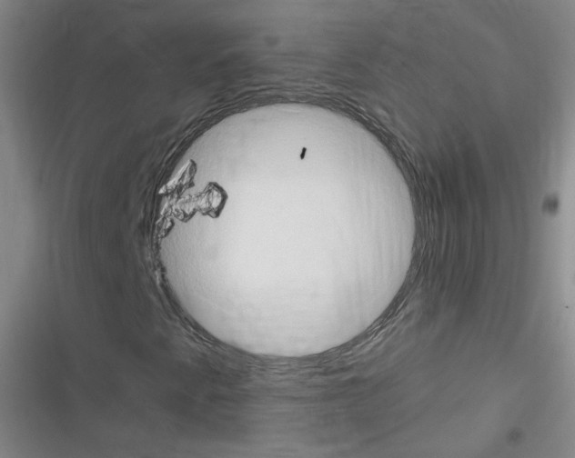 X0000116321345201001130955