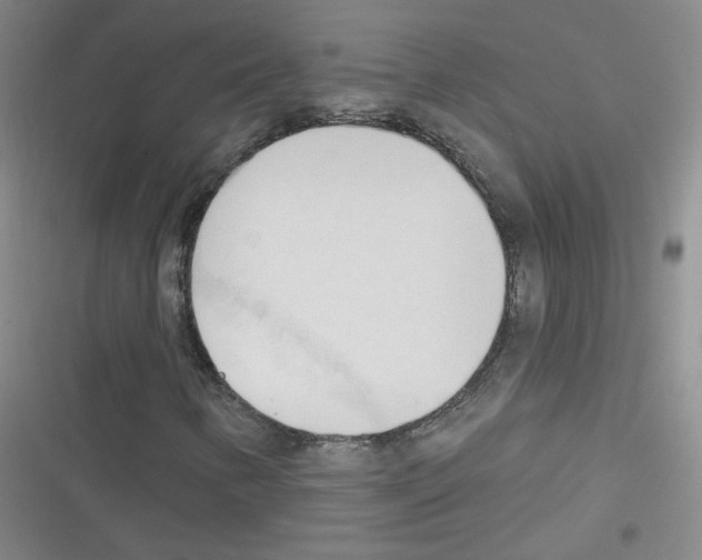 X0000116321346201001130955