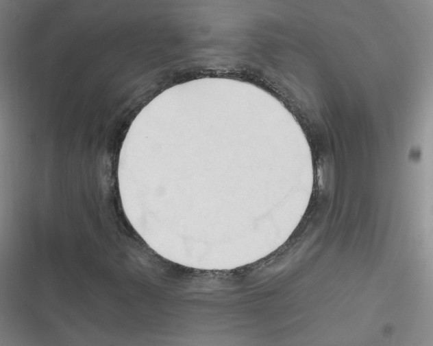 X0000116321347201001130955