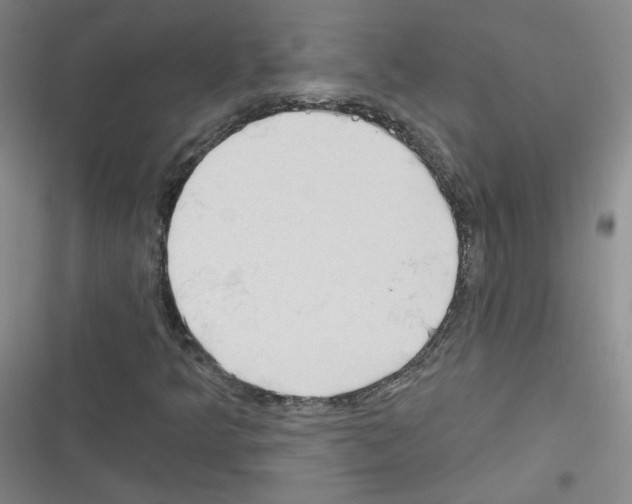 X0000116321349201001130955