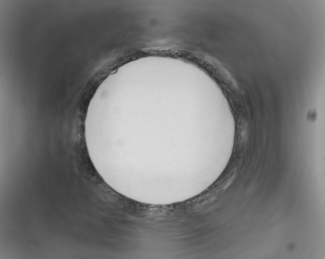 X0000116321350201001130955