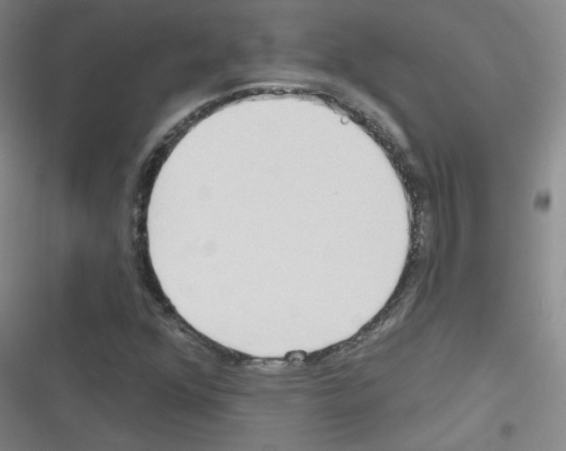 X0000116321352201001130955