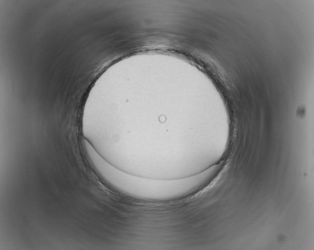 X0000116321353201001130955