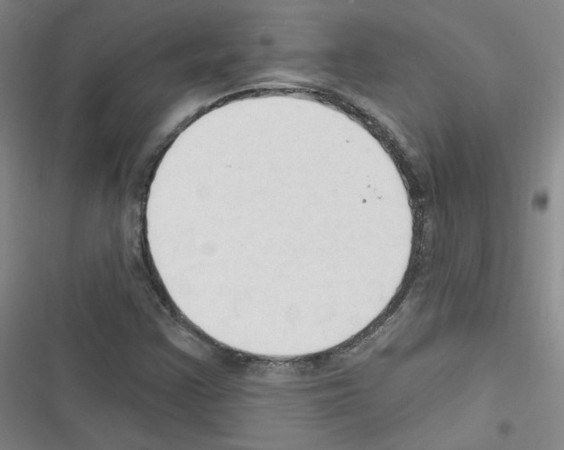 X0000116321355201001130955