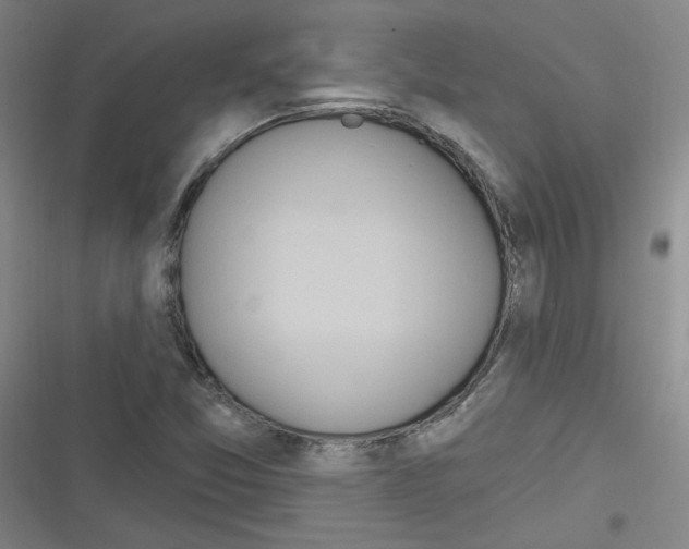 X0000116321357201001130955