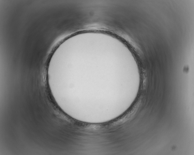 X0000116321358201001130955