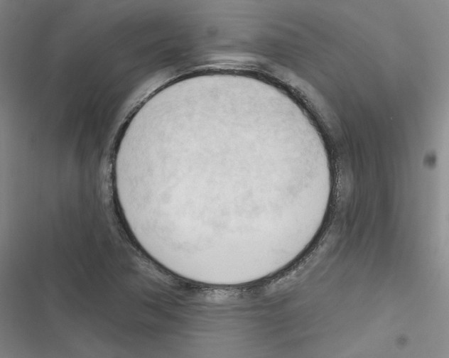 X0000116321362201001130955