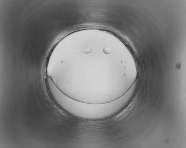 X0000116321365201001130954