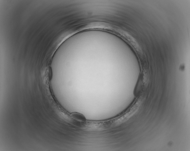 X0000116321369201001130954