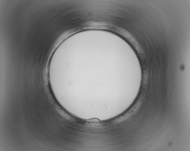 X0000116321370201001130954