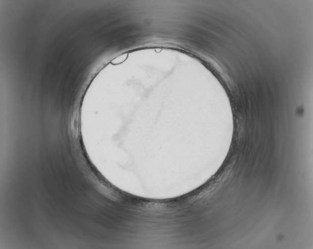 X0000116321371201001130954