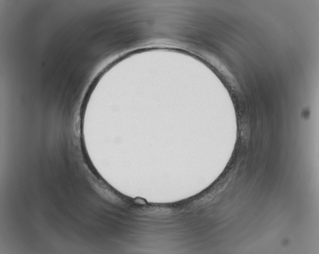 X0000116321372201001130954