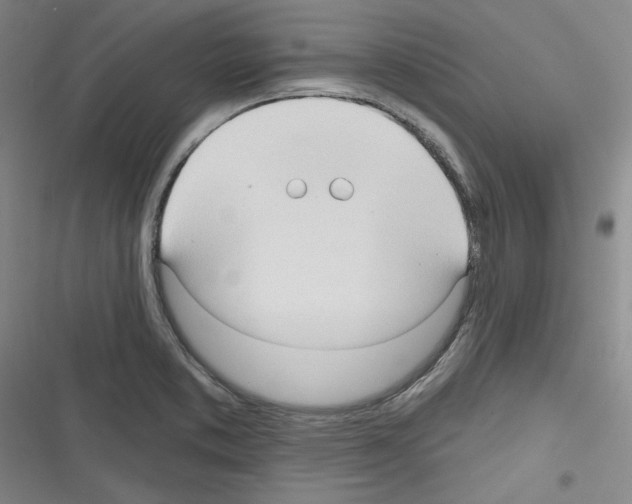 X0000116321373201001130954