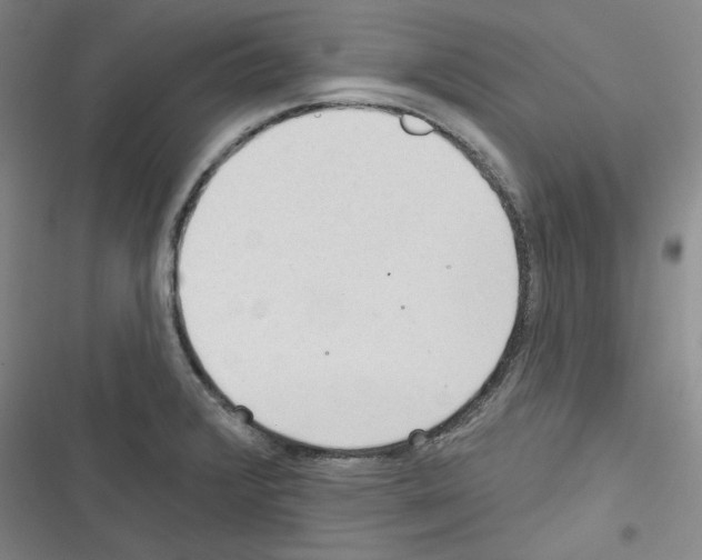 X0000116321376201001130954