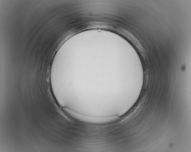 X0000116321377201001130954