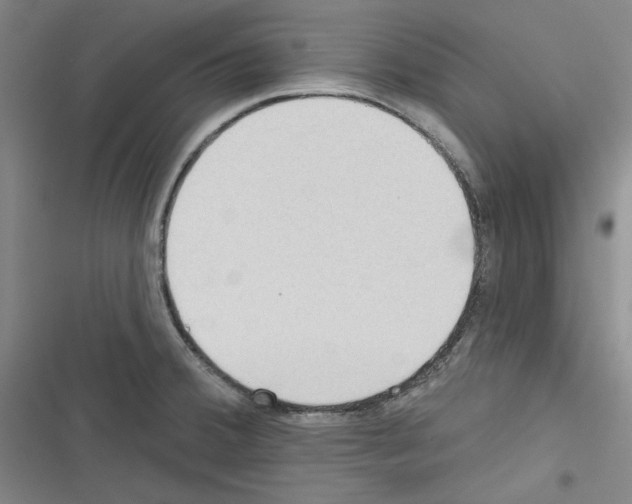 X0000116321380201001130954