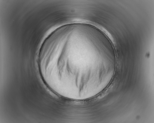 X0000116321381201001130954