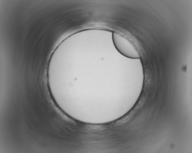 X0000116321382201001130954