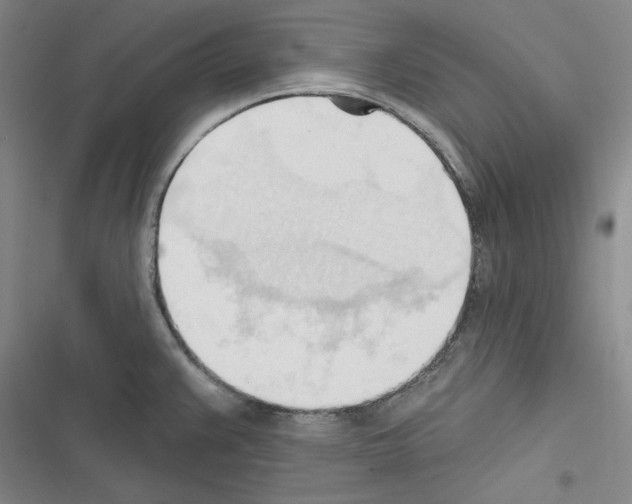 X0000116321383201001130954