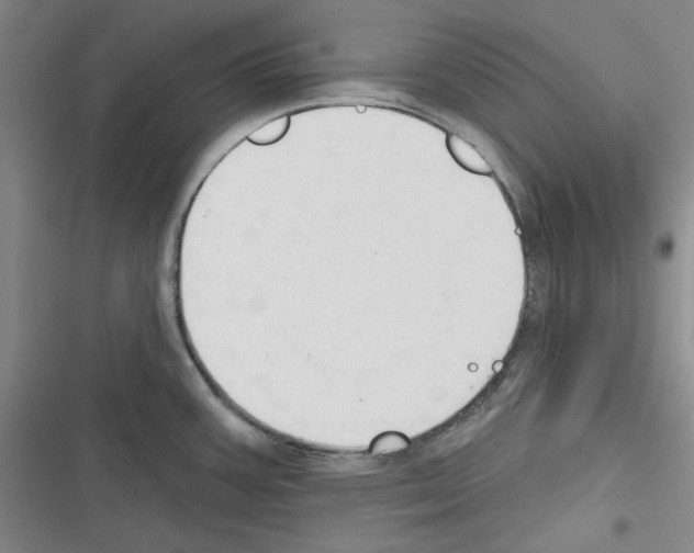 X0000116321387201001130954