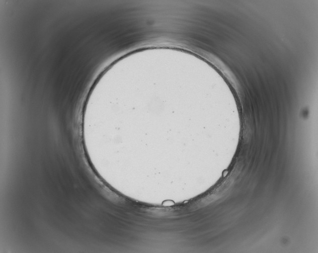 X0000116321388201001130954