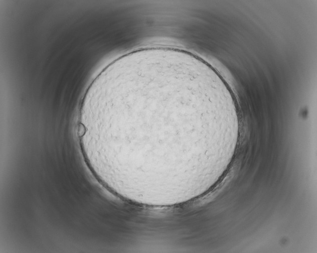 X0000116321390201001130954