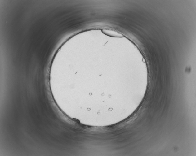 X0000116321392201001130954