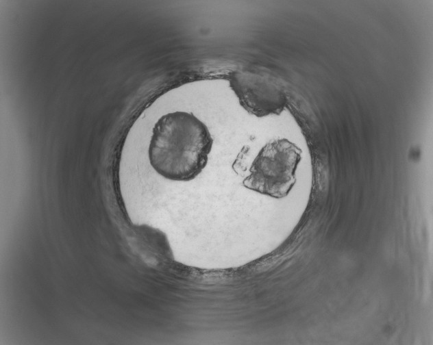 X0000116321393201001130953