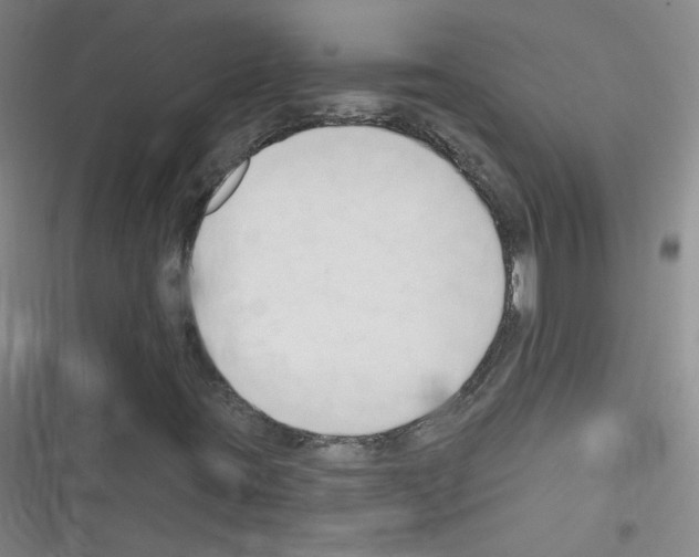 X0000116321395201001130954