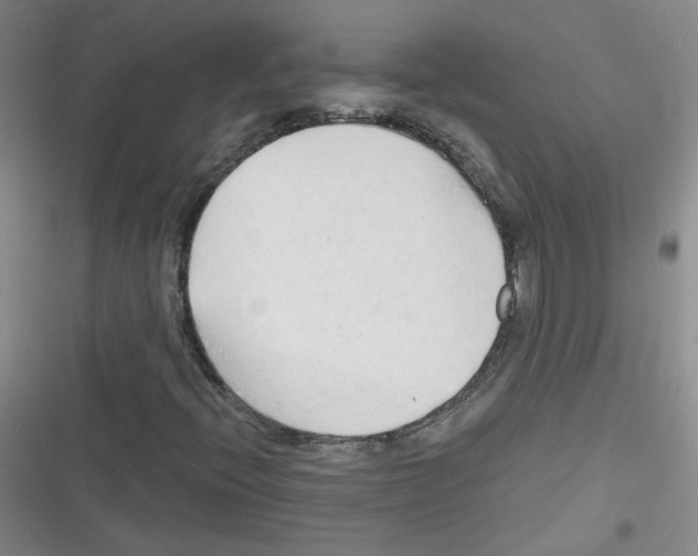 X0000116321396201001130954