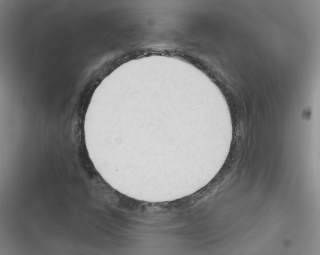 X0000116321398201001130954