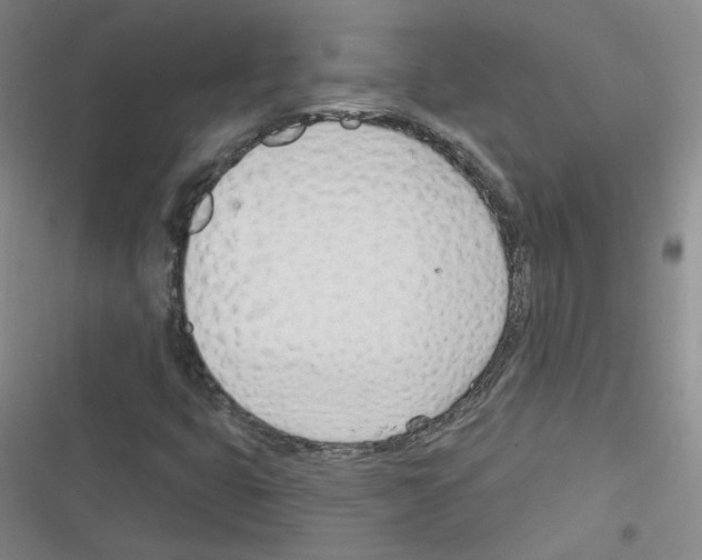 X0000116321399201001130954