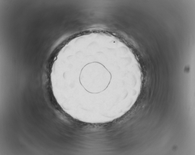 X0000116321400201001130954